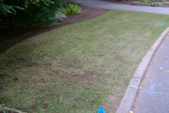 the-providence-grass-company_5126415267_o