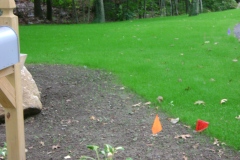 the-providence-grass-company_5126419831_o