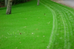 the-providence-grass-company_5126421729_o