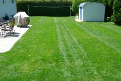 the-providence-grass-company_5126670185_o