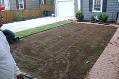 the-providence-grass-company_5126670801_o