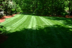 the-providence-grass-company_5126674445_o