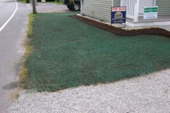 the-providence-grass-company_5127021836_o