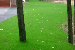 the-providence-grass-company_5127023650_o