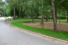 the-providence-grass-company_5127025708_o