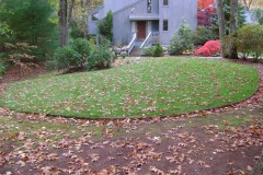 the-providence-grass-company_5127273844_o