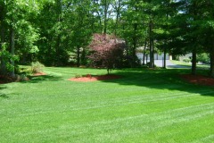 the-providence-grass-company_5127276554_o