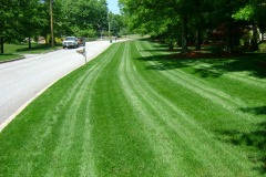 the-providence-grass-company_5127277784_o