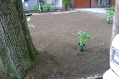 the-providence-grass-company_5127278516_o