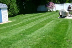 the-providence-grass-company_5127279922_o